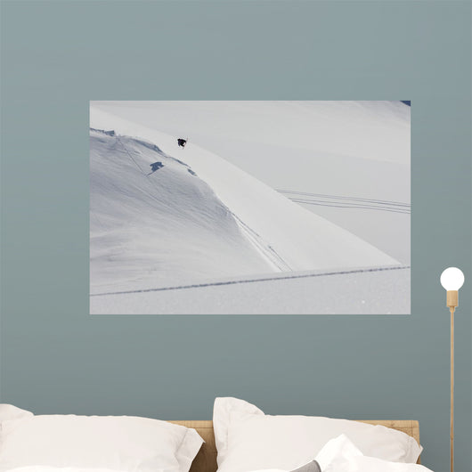 Professional Snowboarder Wall Decal Design 1