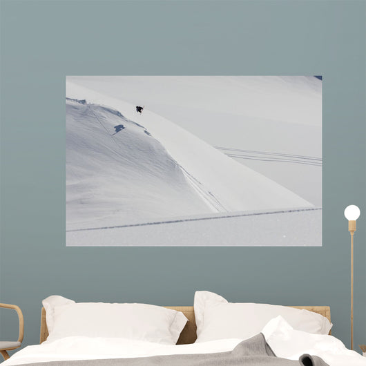 Professional Snowboarder Wall Decal Design 1