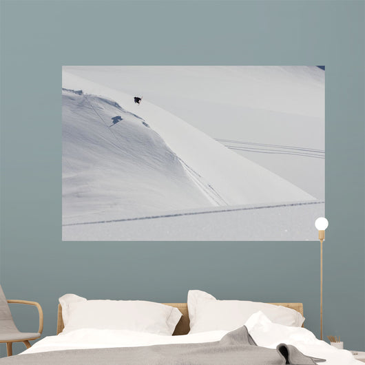 Professional Snowboarder Wall Decal Design 1