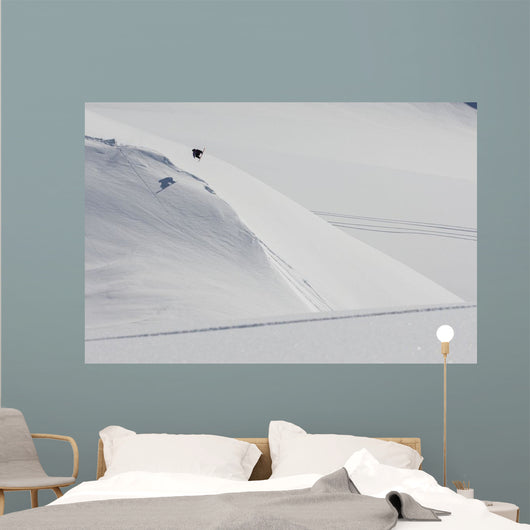 Professional Snowboarder Wall Decal Design 1