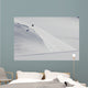 Professional Snowboarder Wall Decal Design 1