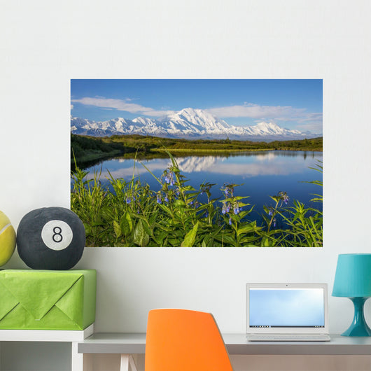 Scenic Mt McKinley Reflecting Wall Decal Design 2