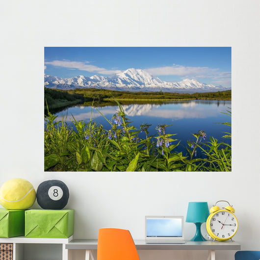 Scenic Mt McKinley Reflecting Wall Decal Design 2