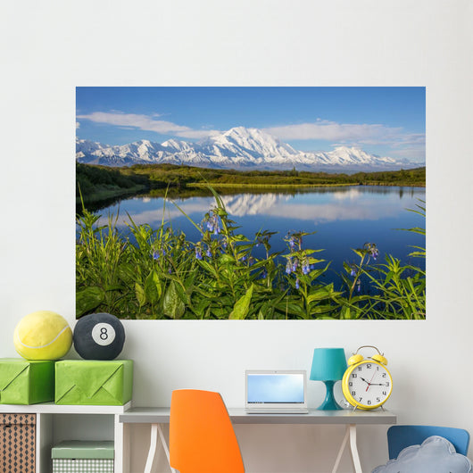Scenic Mt McKinley Reflecting Wall Decal Design 2