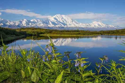 Scenic Mt McKinley Reflecting Wall Decal Design 2