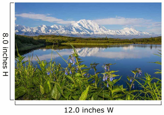 Scenic Mt McKinley Reflecting Wall Decal Design 2