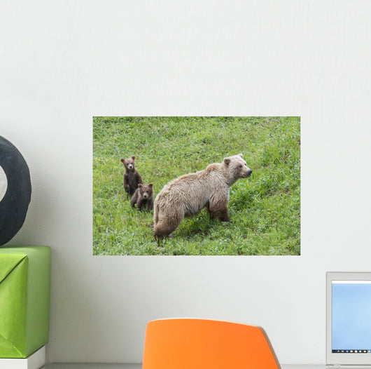 Sow with Spring Cubs Wall Decal