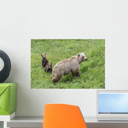 Sow with Spring Cubs Wall Decal