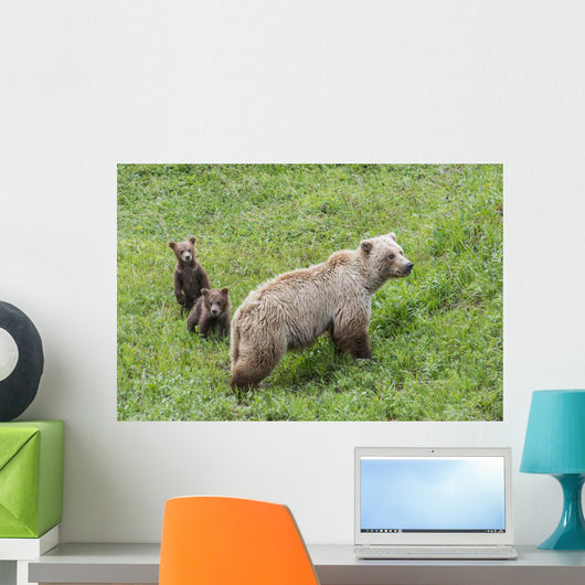 Sow with Spring Cubs Wall Decal