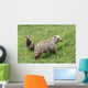 Sow with Spring Cubs Wall Decal