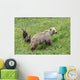 Sow with Spring Cubs Wall Decal