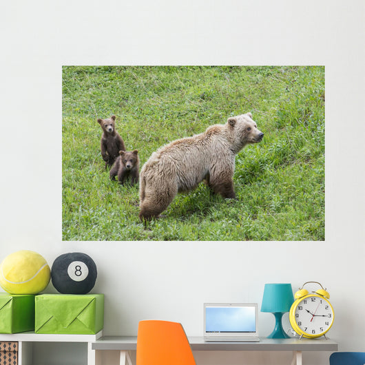Sow with Spring Cubs Wall Decal