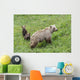 Sow with Spring Cubs Wall Decal