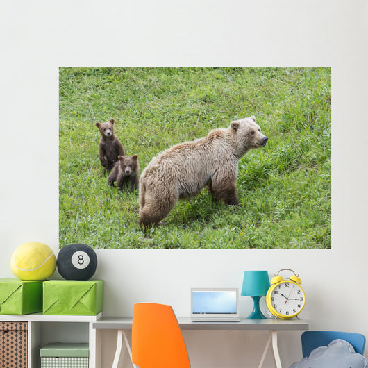 Sow with Spring Cubs Wall Decal