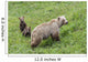 Sow with Spring Cubs Wall Decal
