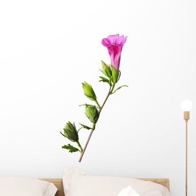 Hibiscus Flower Wall Decal shown on a wall