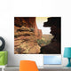 Kings Canyon Wall Decal