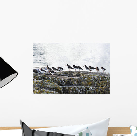 Wave Crashing into Rocks Wall Decal