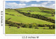Cattle Grazing Wall Decal Design 1