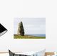 Large Megalithic Rock Wall Decal
