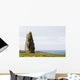Large Megalithic Rock Wall Decal