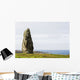 Large Megalithic Rock Wall Decal