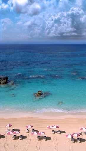 Bermuda Beach Wall Decal