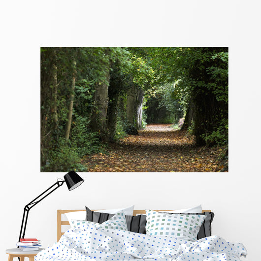 Leaf Covered Pathway Dense Wall Decal