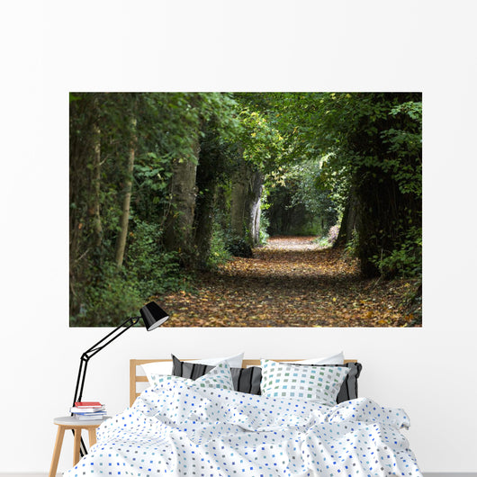 Leaf Covered Pathway Dense Wall Decal