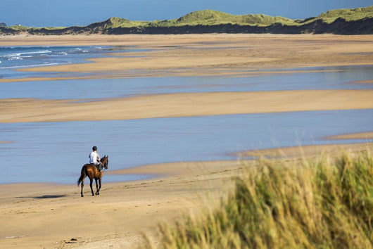 Horse and Rider Beach Wall Decal