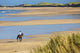 Horse and Rider Beach Wall Decal