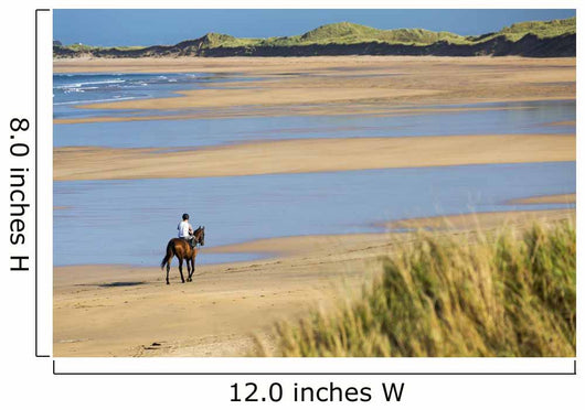 Horse and Rider Beach Wall Decal