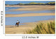 Horse and Rider Beach Wall Decal