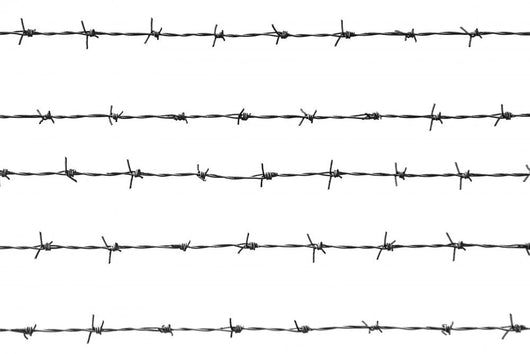 barbed wires Wall Mural