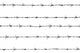 barbed wires Wall Mural