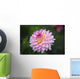 Pink Zinnia Flower Wall Decal