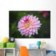 Pink Zinnia Flower Wall Decal