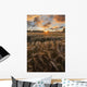 Glowing Clouds Sunset over Wall Decal