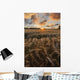 Glowing Clouds Sunset over Wall Decal