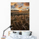 Glowing Clouds Sunset over Wall Decal