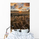 Glowing Clouds Sunset over Wall Decal