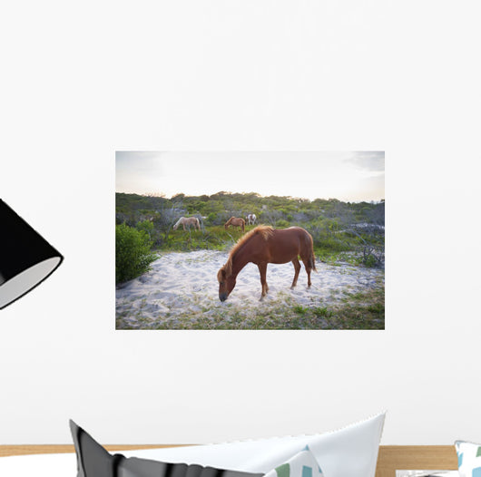Horses Grazing Assateague Island Wall Decal