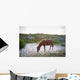 Horses Grazing Assateague Island Wall Decal