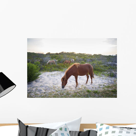 Horses Grazing Assateague Island Wall Decal