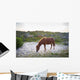Horses Grazing Assateague Island Wall Decal