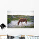 Horses Grazing Assateague Island Wall Decal