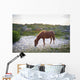 Horses Grazing Assateague Island Wall Decal