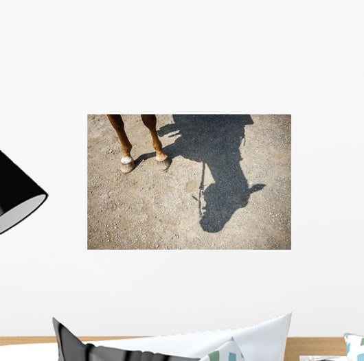 Horse Legs and Shadow Wall Decal