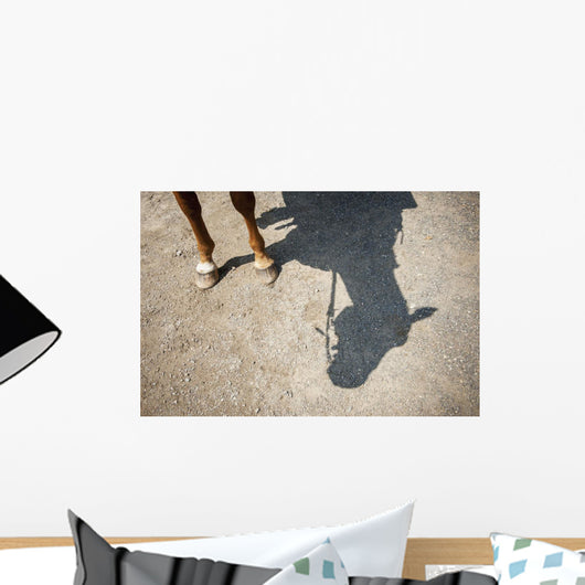 Horse Legs and Shadow Wall Decal