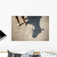 Horse Legs and Shadow Wall Decal